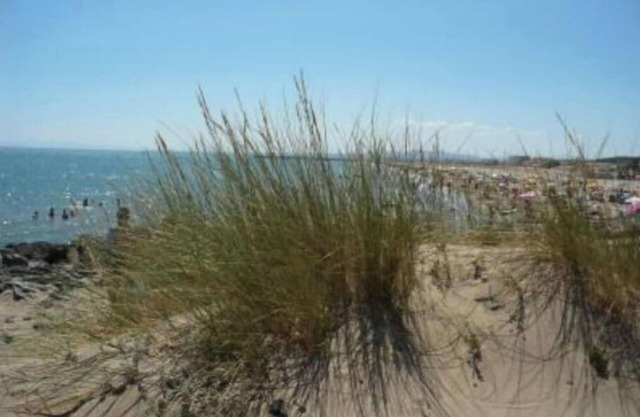 Sea and pool in nature park 2