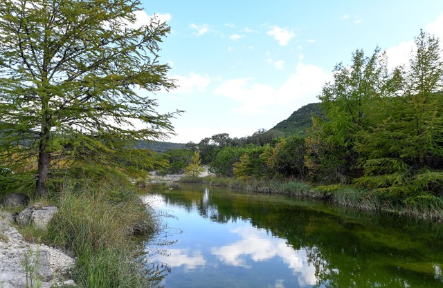 Secluded hilltop cabin, Lost Maples Park, private river access, hot tub & peace!