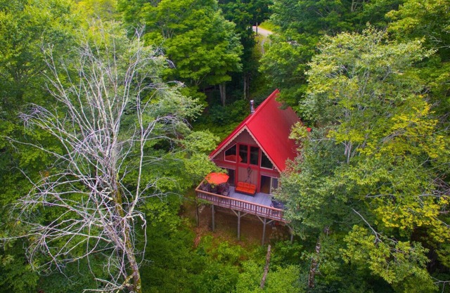 Secluded Mountain Cabin w/Hot Tub, Firepit & View