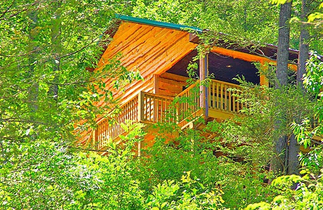 Secluded Mountain Cabin on a Large Estate with Water Fall, Hiking Trails & Creek