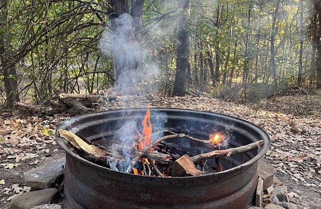 Seclusion at the HIDEOUT on Francis Creek. Come, enjoy the quiet.