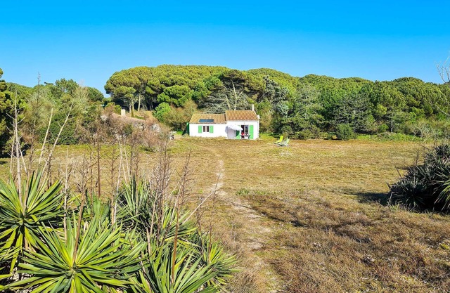 Set of two houses in the heart of the dunes