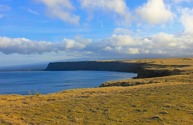 Shops and fun near Oakland Airport