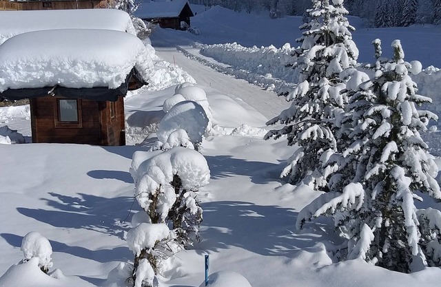 SHUTTLE BUS AT THE FOOT OF THE CHALET PETS WELCOME