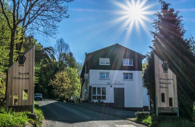 Single Room - Landgasthof Elsenbach