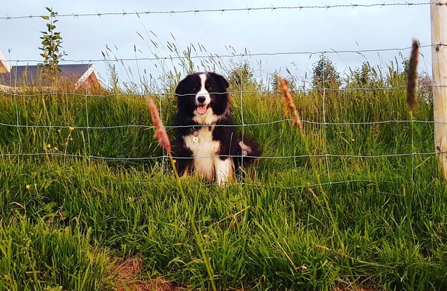 Skálatjörn Guesthouse
