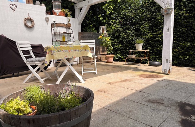 Small fine oasis