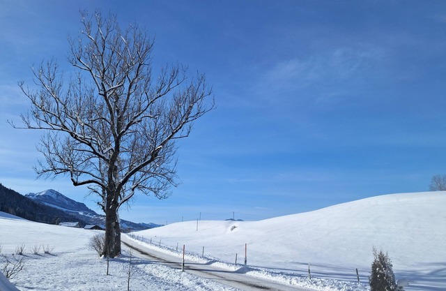 Small, fine vacation apartment with fantastic mountain views