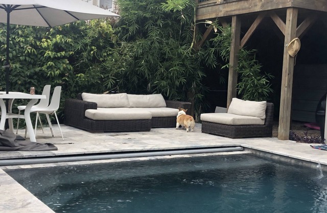 Small Oasis in the city Pool and dog friendly🐾