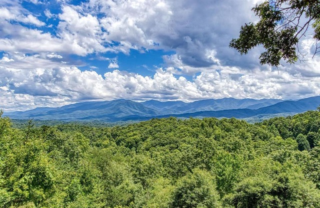 Smoky Vista Lodge, Amazing Mtn Views, Hot Tub, 1089 FREE tickets each paid day, Dollywood and More!