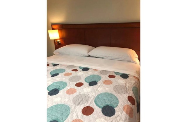 Spacious 3Br/2Bth close to INOVA & Reston Hospitals, DC, and Dulles airport