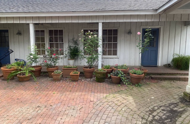 Spacious Carriage House with garden patio