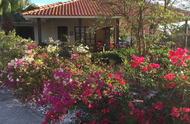 Spacious detached villa for 6 people on the beach of Blue Bay Curacao