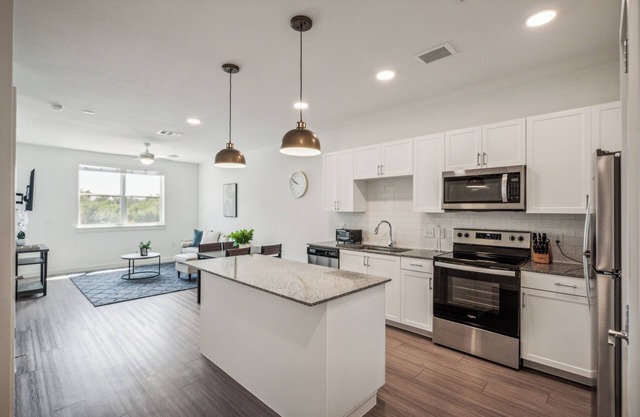 Spectra Parks 6204, Stunning Austin Oasis