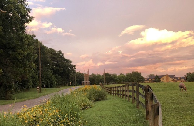 St. Noel Redbud Suite at Camp Ondessonk