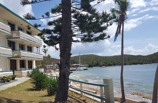 St.Thomas, USVI, oceanfront studio at Bolongo Bay, Watergate Villas East