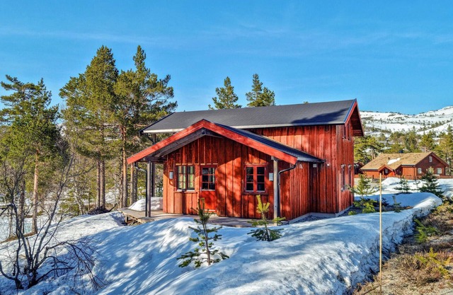 Start your wonderful fishing vacation in this cottage near the river Tovdalsåna