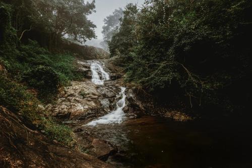 Stream Garden Mountain Resort