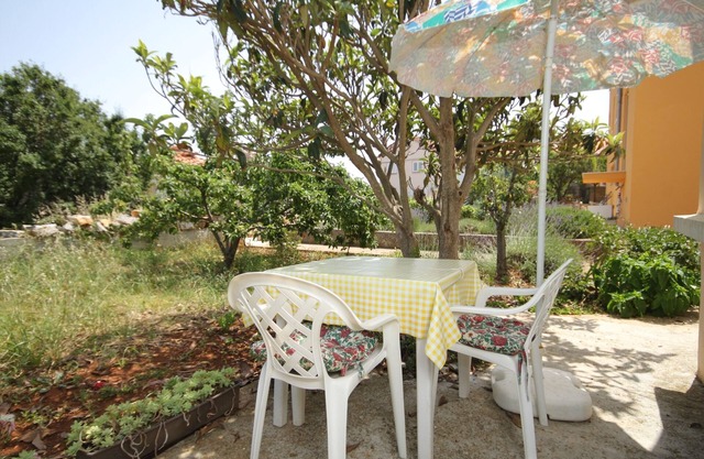 Studio flat with terrace Božava, Dugi otok (AS-8108-b)