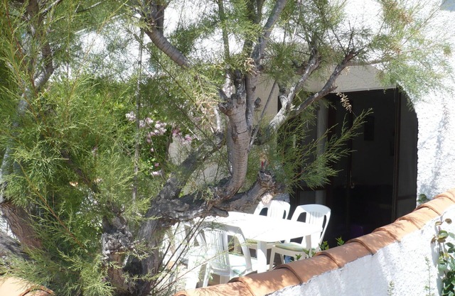 Studio apartment in attractive residence on garden level, Loggia, Terrace with trees.