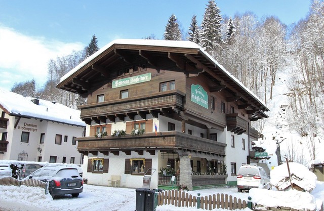 Studio in Saalbach near Ski Slopes