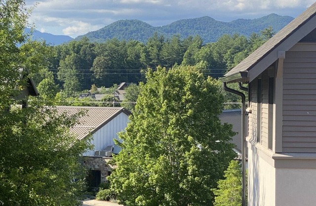 Studio in upscale, intimate Black Mountain neighborhood