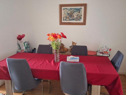 Studio meublé avec TV, cuisine, sdb