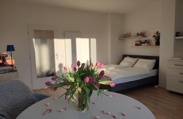 Studio mit Terrasse in zentraler Lage