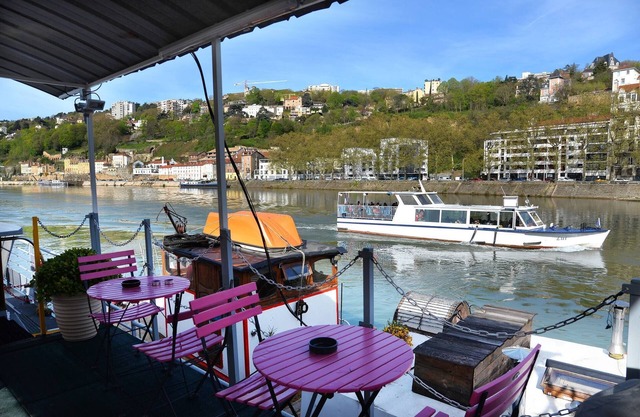 Studio on Barge, Le Cormoran, Edge of the Saône in Lyon