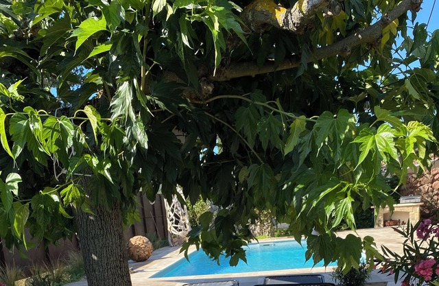 Studio Refait à Neuf Dans une Propriété de Charme Avec Piscine, Entre mer et lac