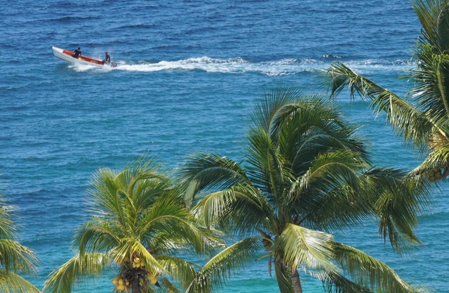 Studio Tout Confort Climatisé vue Mer, Piscine et 5mn de la Plage