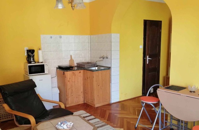 Studio with a large, well-kept garden
