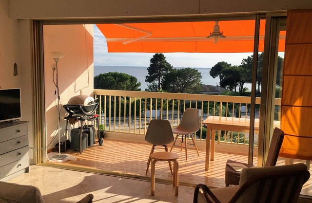 STUDIO with magnificent Terrace SAGONE - 20118