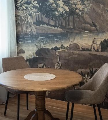 Suite 16 City Apartment Korneuburg