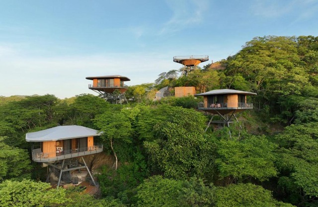 Suitree Experience Hotel