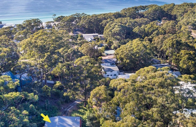 Summerdaze, Hyams Beach