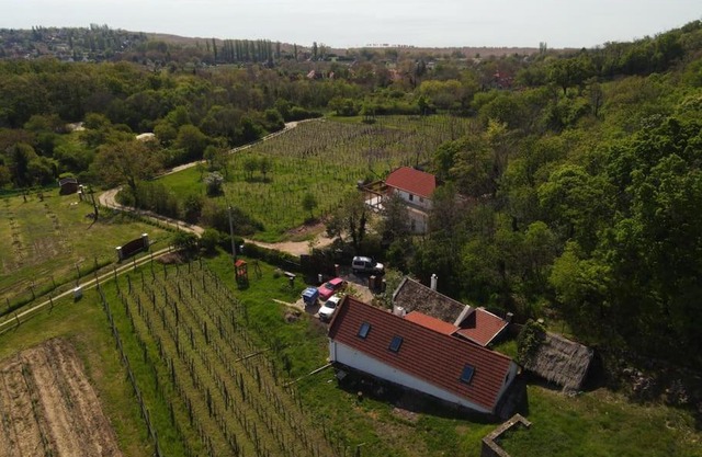 Sun & Wine Balaton