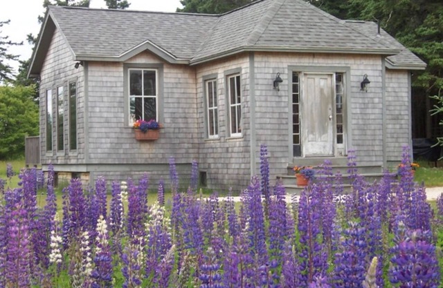 Sunlit Cottage on Crockett Cove