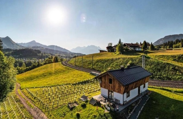 Sunny chalet in secluded location with vineyard