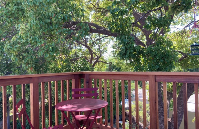 Sunny Spacious Tastefully Furnished Top-Floor Apartment: Berkeley-Oakland Border