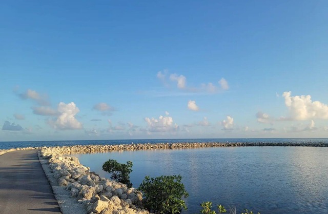 Sunny Tavernier Key Cottage!