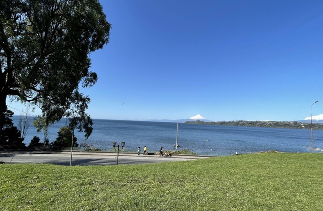 Sunny, warm and Great Apartment next to the Lake.