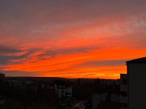 Sunset view