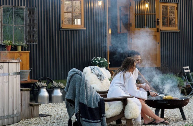 Super luxury, designer 22' Shepherd's Hut + HotTub