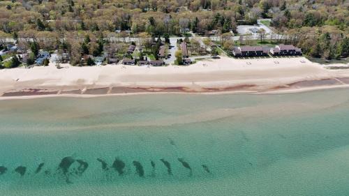 Surfside 13 - Cute Lakefront Condo!
