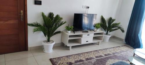 Syokimau spacious 2br furnished apartment