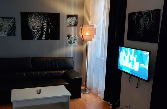 T2, NETFLIX, WI FI, CENTER, tram, bus, near opera and all faculties