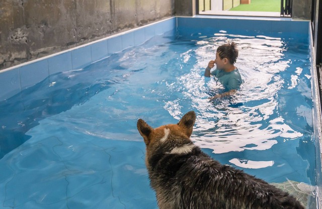 Taean Aloha Oe Pet Pool Villa