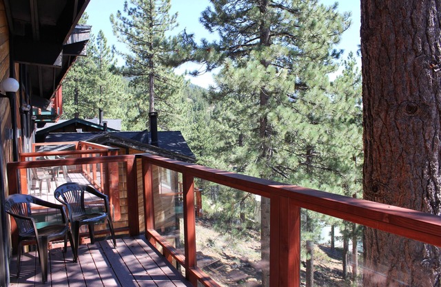 Tahoe Chaparral