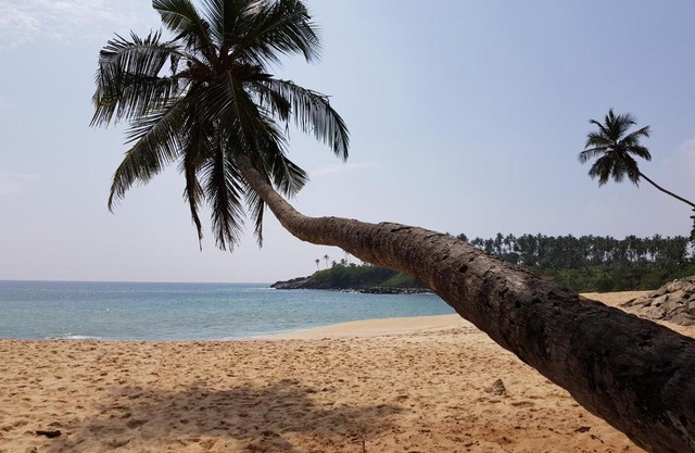 Tangalle Bay Cottages